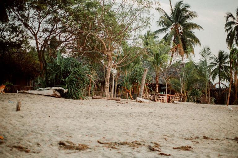 Ushongo Beach Bandas Pangani Exterior photo